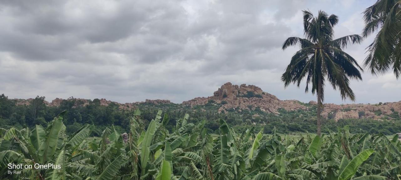 Archana Guest House River View Hampi Luaran gambar